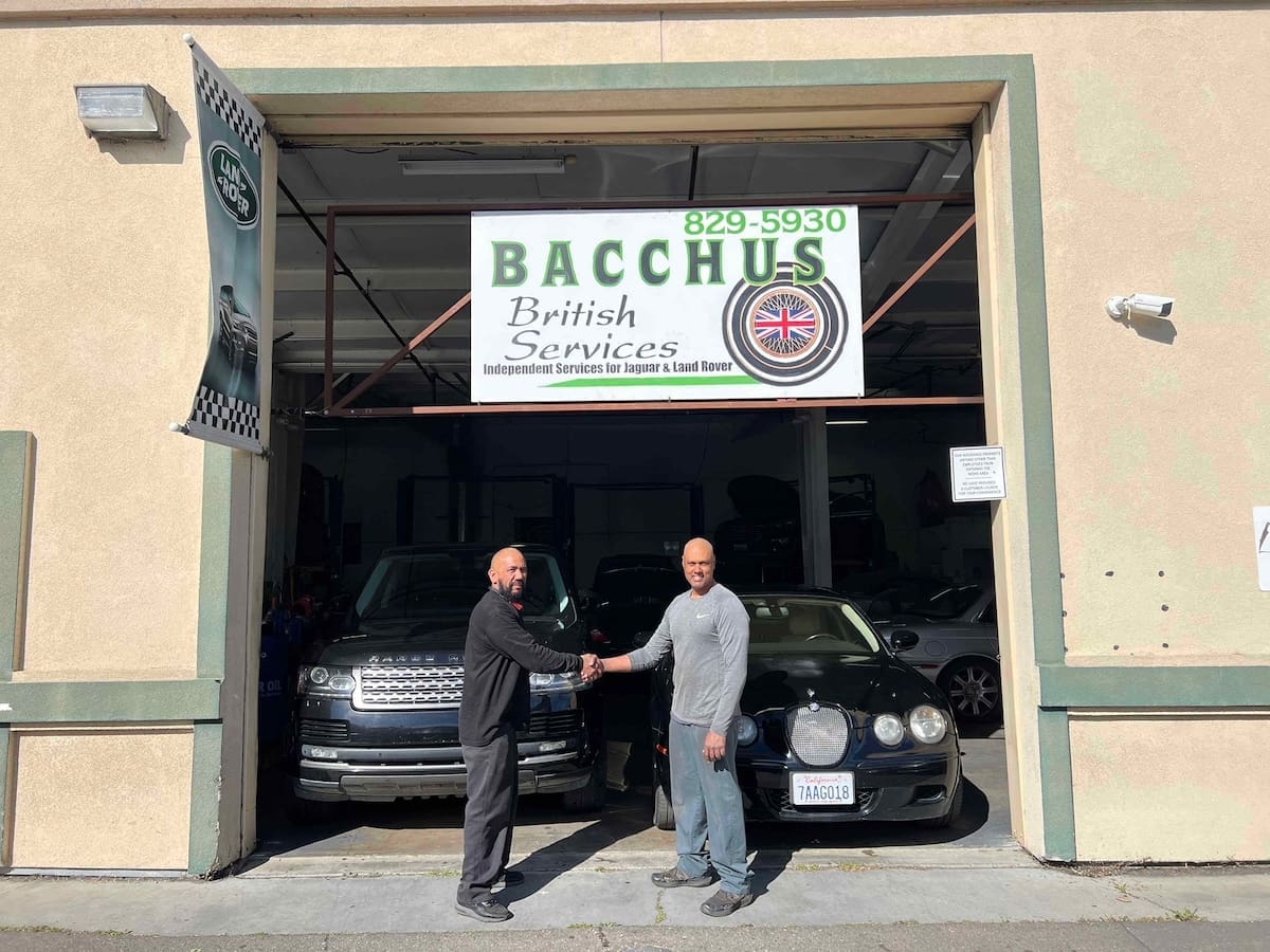Bacchus British New Owner - March 2026